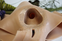 фаллопротез на член купить